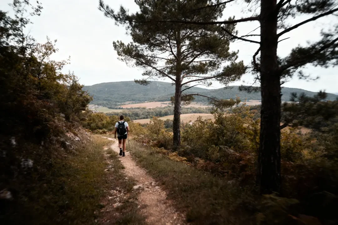 Randonnée sur sentier boisé, personne avec sac à dos, paysages vallonnés en arrière-plan, ciel nuageux.