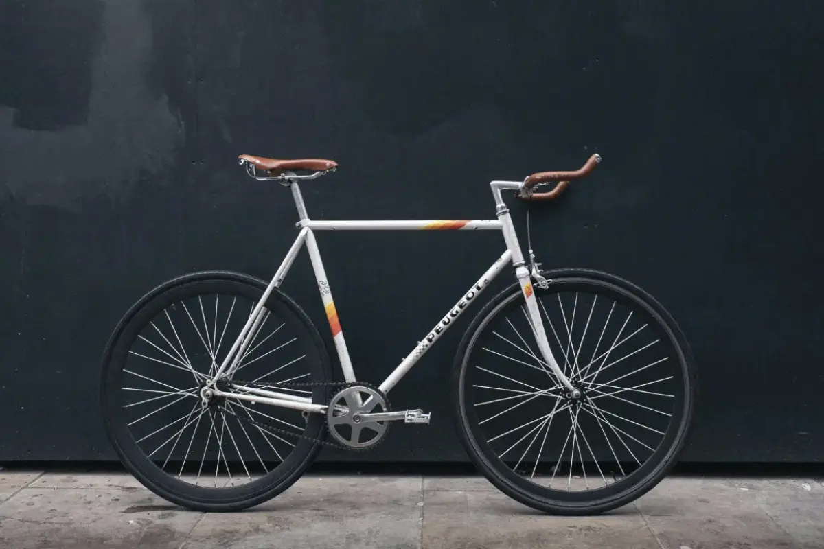 goodbike (2)