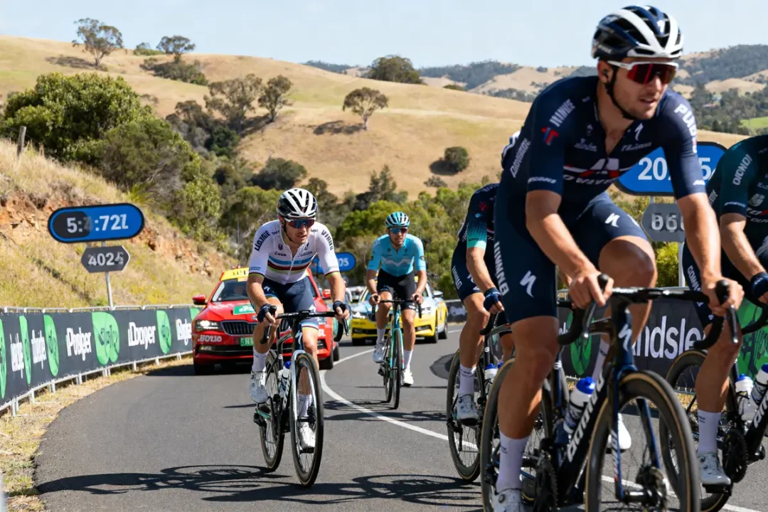Cyclistes en plein effort durant le Tour Down Under 2025 dans un paysage vallonné
