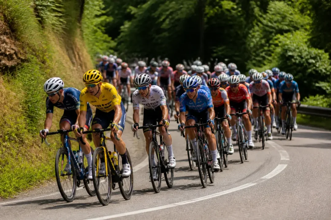 Cyclistes en peloton dans une étape de montagne du calendrier UCI professionnels